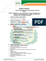 TDR Elaboracion de Plan de Seguridad y Salud en El Trabajo