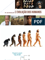 A Origem e Evolução dos Humanos Desde os Primeiros Primatas