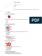 KW WS Science G5 (E) - 18.11.22