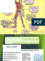 Tejidos-Biológicos-CLASE 10