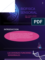 Funciones sensoriales: percepción y cadena sensorial