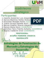 Estrategias Exposicion