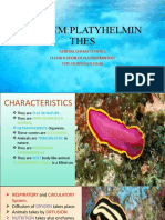 Phylum:Platyhelmin Thes: General Characteristics Classification of Platyhelminthes Type Study:Liver Fluke