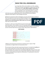 Diffusion Across The Cell Membrane