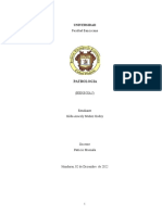 Investigación de Heregias - Ac - n0 2