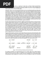 Biodiesel From Animal Fat