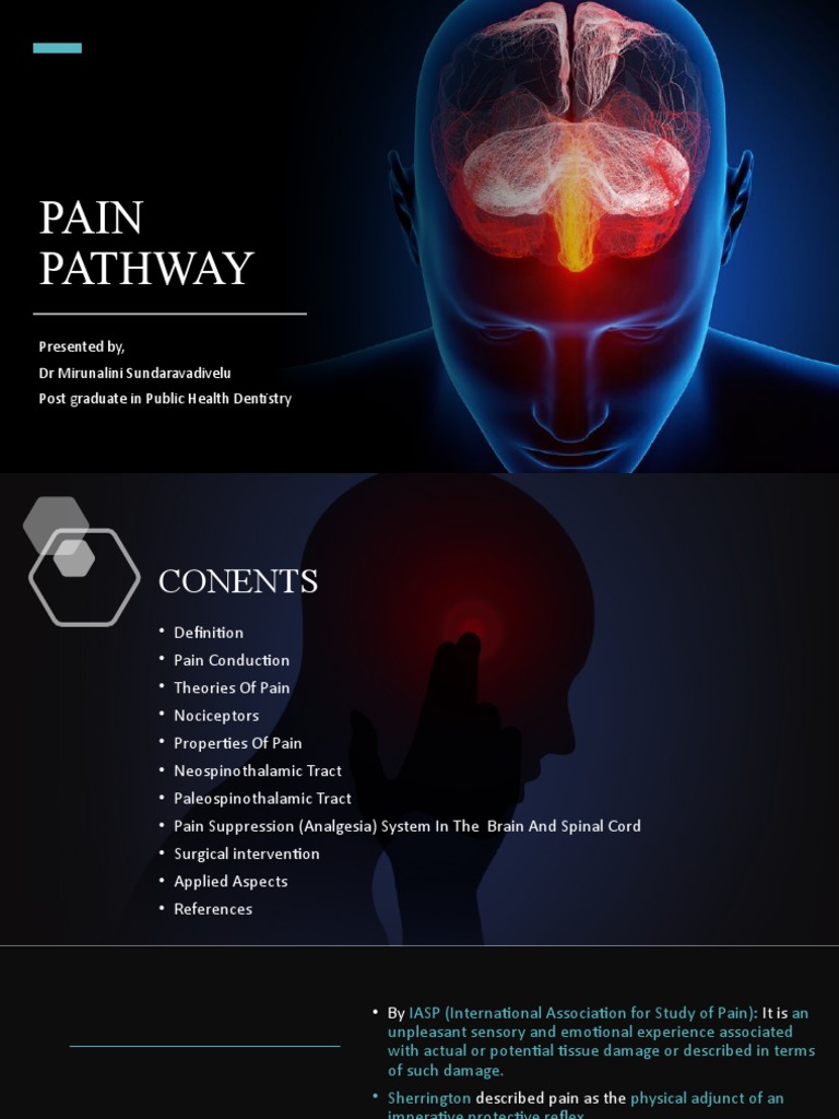 Understanding Pain Pathways: A Comprehensive Review of the Definition ...