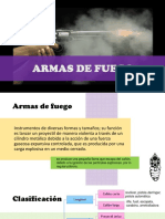 8b. Armas de Fuego