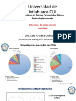 Uropatógenos asociados con ITUs