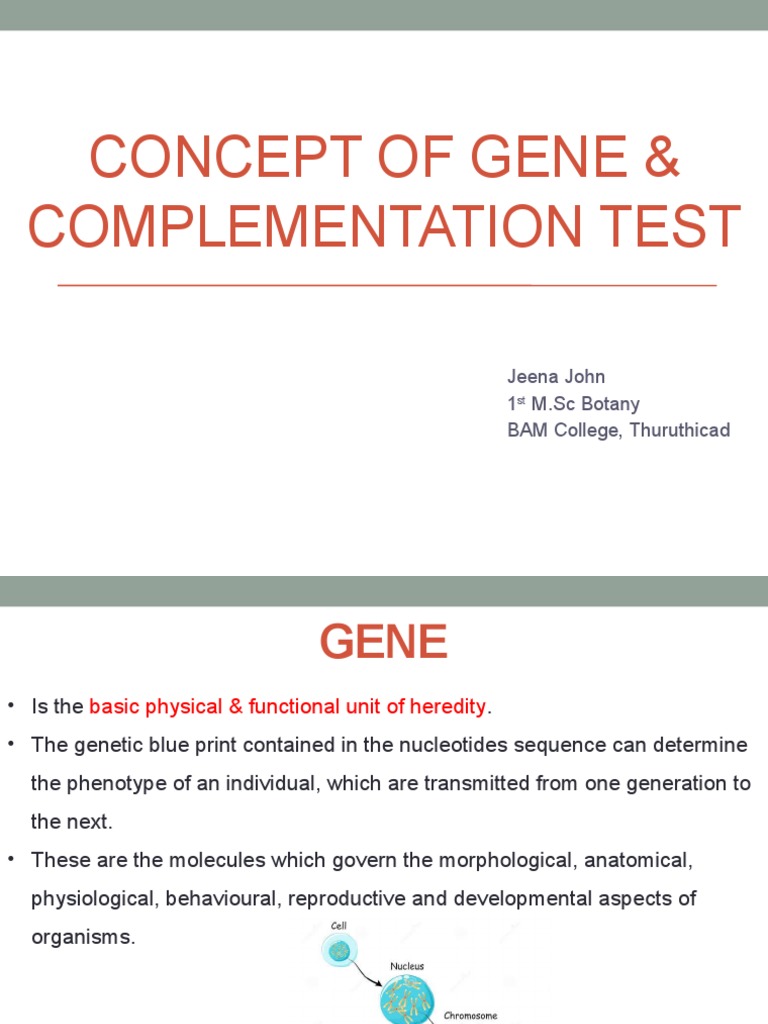 Molecular Biology PDF Gene Zygosity