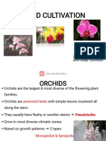 Orchid Cultivation
