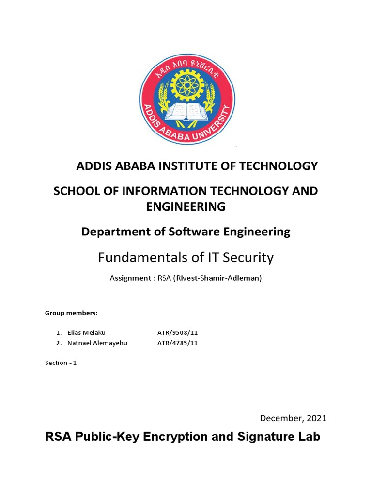 RSA Public-Key Encryption Lab Report | PDF | Encryption | Public Key ...