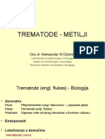 Trematode - Metilji.