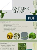 Plantlike Algae