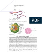 Rangkuman Kisi Kisi PAS Biologi