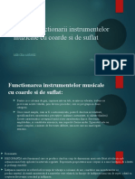 Studiul Functionarii Instrumentelor Muzicale Cu Coarde Si de