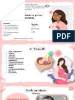 MFH 3 Tema 13 - Suelo Pelviano, Embarazo, Parto y Lactancia