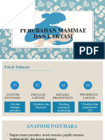 6-7.c Perubahan Mammae & Laktasi