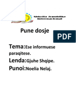 Pune Dosje Tema: Lenda: Punoi:: Ese Informuese Paraqitese