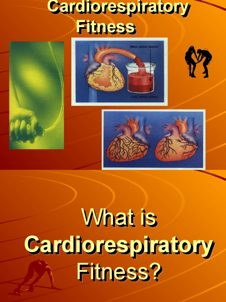 03 Cardiorespiratory Fitness PDF Physical Fitness Heart