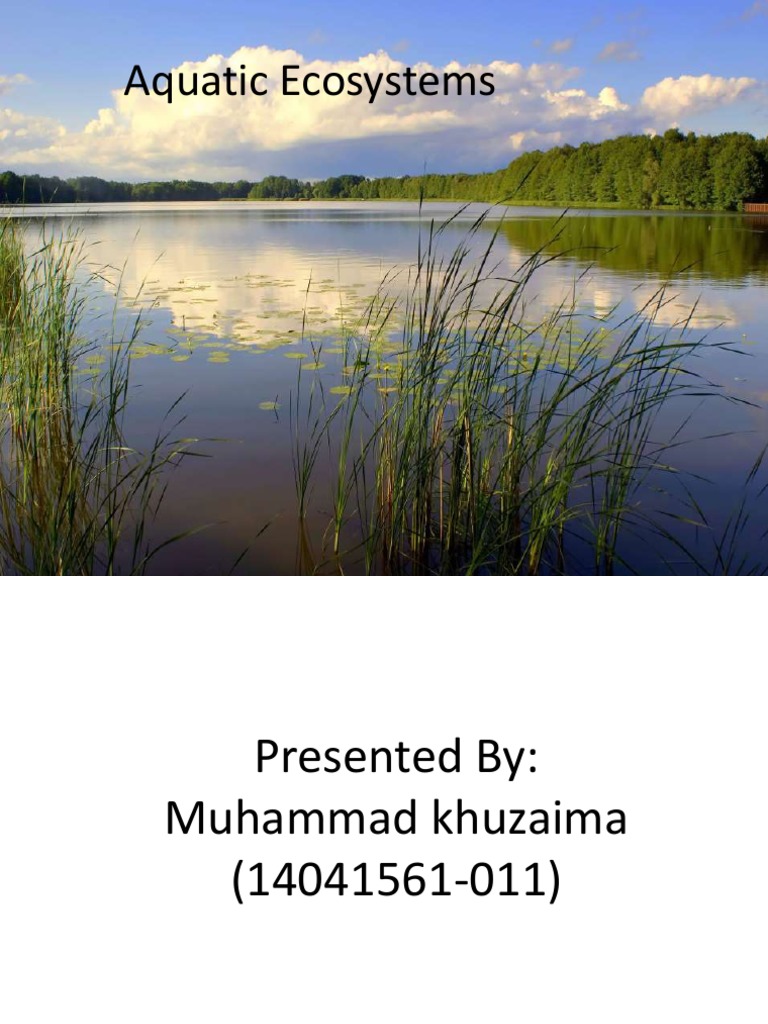 Aquatic Eco System PDF Aquatic Ecosystem Water Pollution
