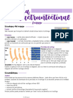 Sistema gastrointestinal: Esófago, estómago e hígado