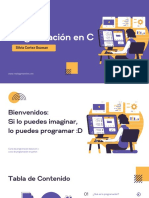 Programación en C Pilares Prueba