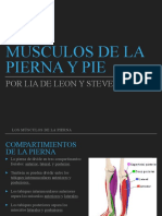 Musculos pierna y pie 