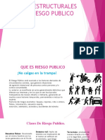 Bases Estructurales Del Riesgo Publico Presentacion