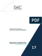 Tema 17 - Sistema Endocrino