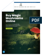 Buy Magic Mushroom Usa