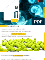 Divisão Celular, Crescimento e Regeneração de Tecidos vs. Diferenciação Celular