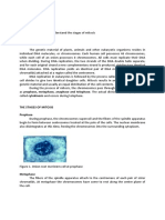 Cell Division Manual