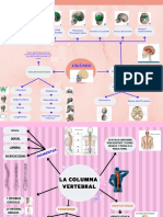 Naranja y Amarillo Gradiente Profesional Aplicación de Fitness para Mascotas Mapa Mental