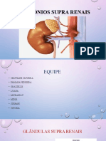Glândulas Supra-Renais e seus Hormônios