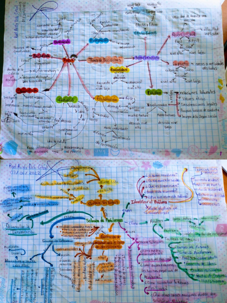 Mapas Mentales | PDF