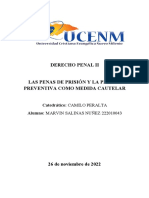 Derecho Penal Ii Investigacion Penas de Prision