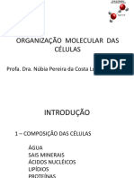 AULA_3_-ORGANIZAO__MOLECULAR__DAS__CLULAS_2022