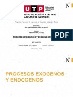 Procesos Endogenos y Exogenos