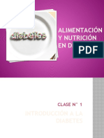 Guía sobre alimentación y nutrición en diabetes: clases 1 a 5