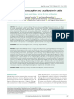 Cecocolic Intussusception and Cecal Torsion in Cattle: Clinical Reports