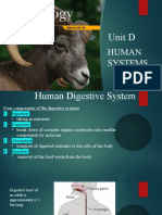 Unit D: Human Systems