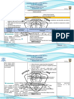 2do Elemental Micro Curricular 1er Parcial