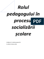 Rolul Pedagogului