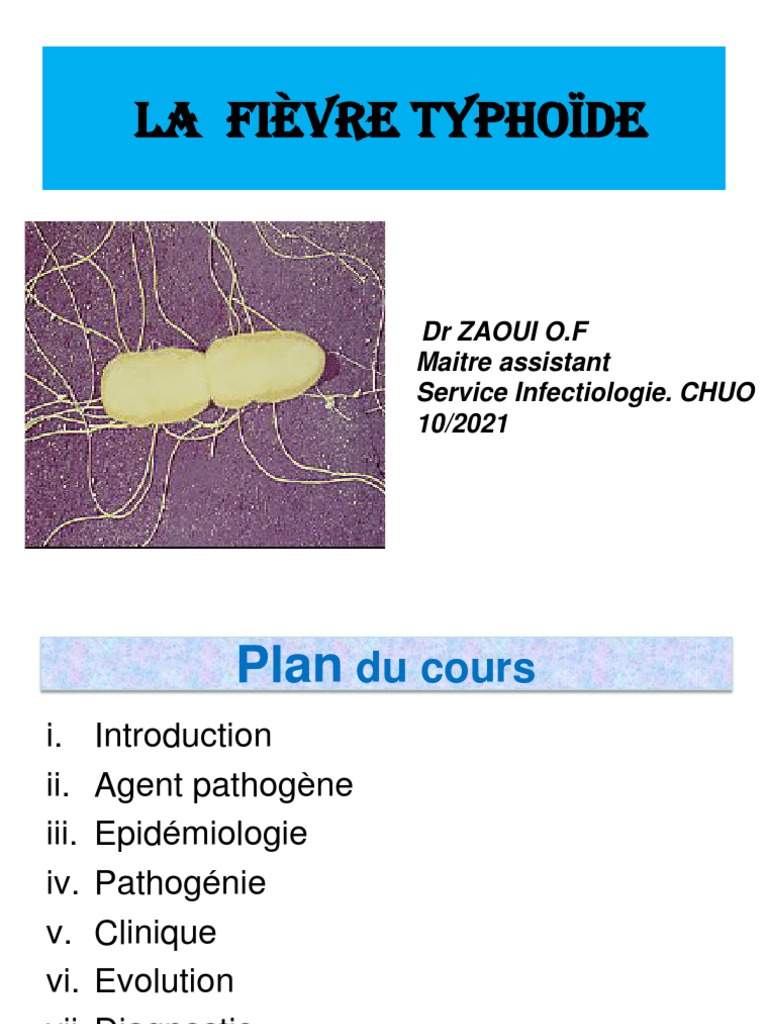 Comprendre la fièvre typhoïde | PDF | Salmonelle | Spécialités médicales