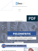 Pielonefritis 179403 Downloable 1988124