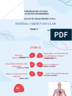 Sistema Cardiovascular