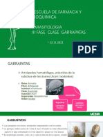 III Fase Clase 5 Garrapatas