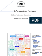 1 Transporte de Electrones Licenciatura