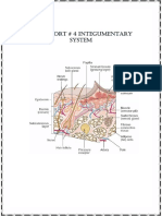 Lab Report #4 Integumentary System